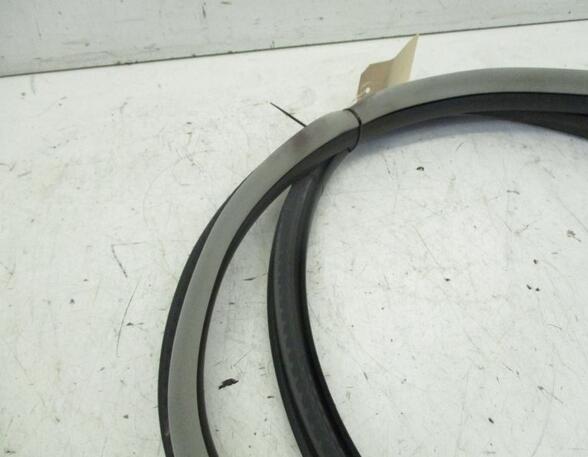 Door Seal RENAULT Laguna III Grandtour (KT0/1)