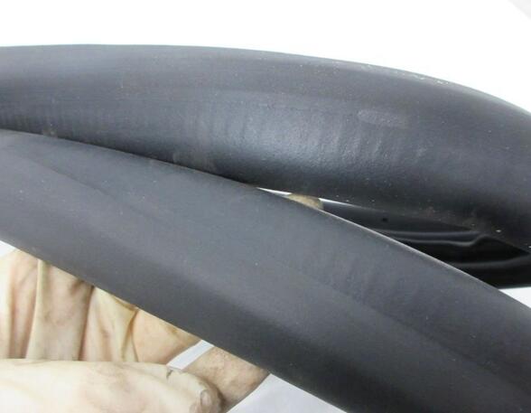 Door Seal RENAULT Zoe (BFM)