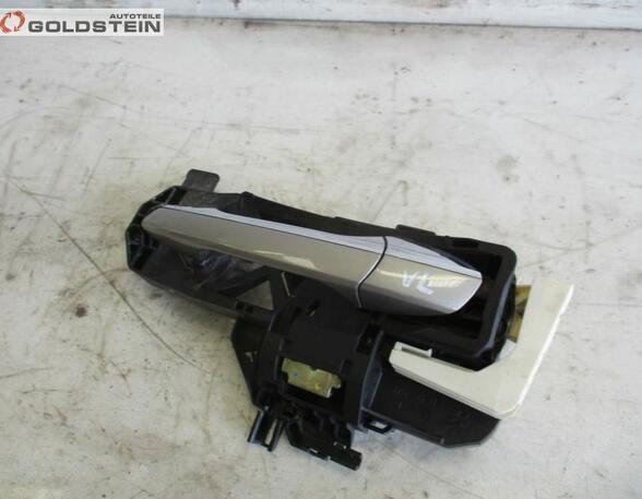 Door Handle MERCEDES-BENZ S-Klasse (W221)