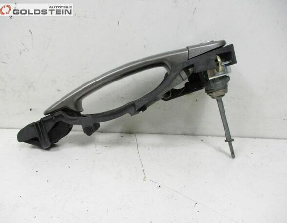 Door Handle SEAT Toledo III (5P2)