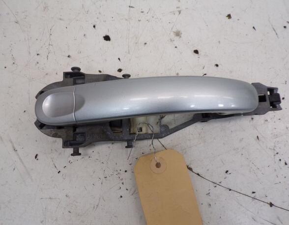 Door Handle VW GOLF PLUS (5M1, 521)