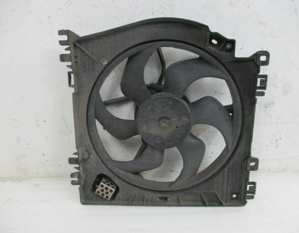 Radiator Electric Fan  Motor RENAULT Clio III (BR0/1, CR0/1)