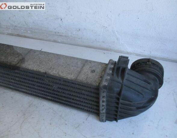 Radiateur MERCEDES-BENZ B-Klasse (W245)