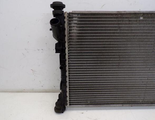 Radiateur FORD TRANSIT CONNECT (P65_, P70_, P80_)