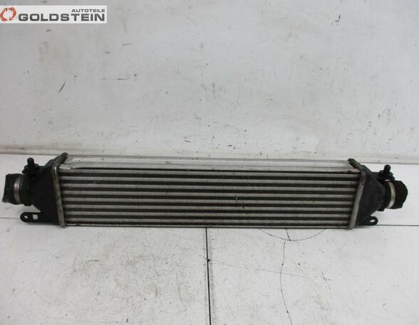 Intercooler FIAT Bravo II (198)