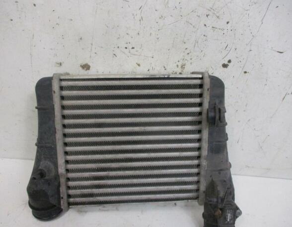 Intercooler AUDI A4 (8EC, B7)