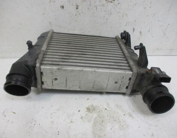 Intercooler AUDI A4 (8EC, B7)