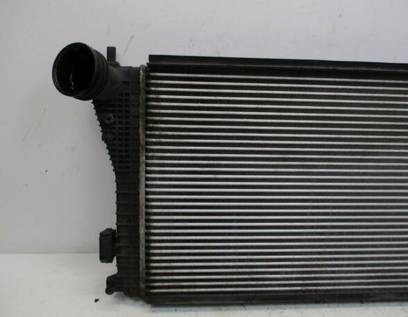 Intercooler VW Golf Plus (521, 5M1)