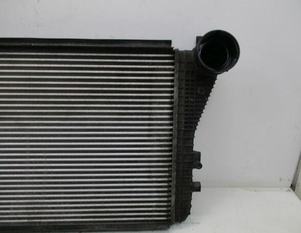 Intercooler VW Golf Plus (521, 5M1)