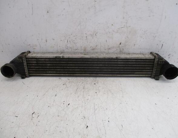 Intercooler MERCEDES-BENZ A-Klasse (W169)