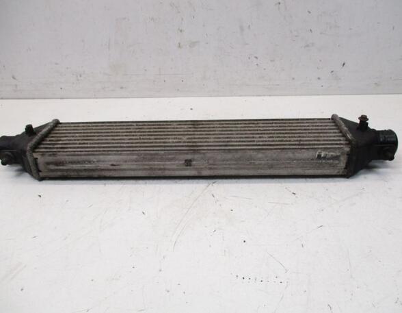 Intercooler FIAT DOBLO Cargo (263_), FIAT DOBLO Platform/Chassis (263_)