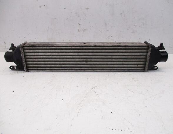 Intercooler FIAT DOBLO Cargo (263_), FIAT DOBLO Platform/Chassis (263_)