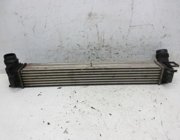 Intercooler RENAULT MEGANE III Hatchback (BZ0/1_, B3_)