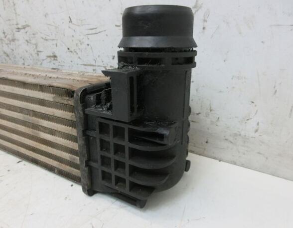 Intercooler RENAULT MEGANE III Hatchback (BZ0/1_, B3_)