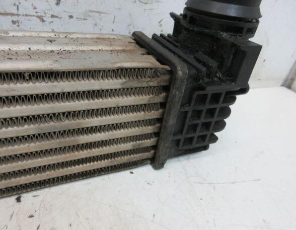 Intercooler RENAULT MEGANE III Hatchback (BZ0/1_, B3_)