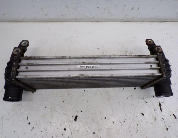 Intercooler FORD TRANSIT CONNECT (P65_, P70_, P80_)