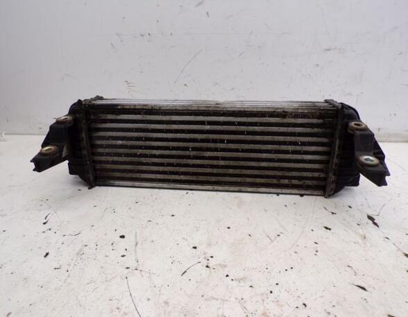 Intercooler FORD TRANSIT CONNECT (P65_, P70_, P80_)