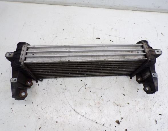 Intercooler FORD TRANSIT CONNECT (P65_, P70_, P80_)