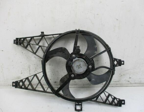 Fan Wheel RENAULT Twingo II (CN0)