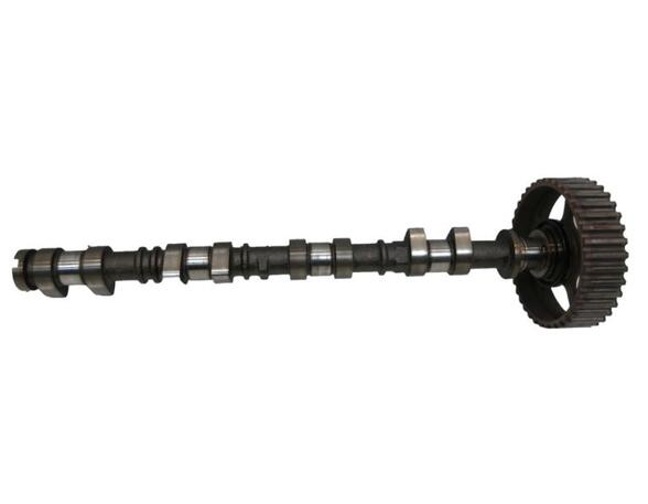 Camshaft FORD FIESTA VI (CB1, CCN)