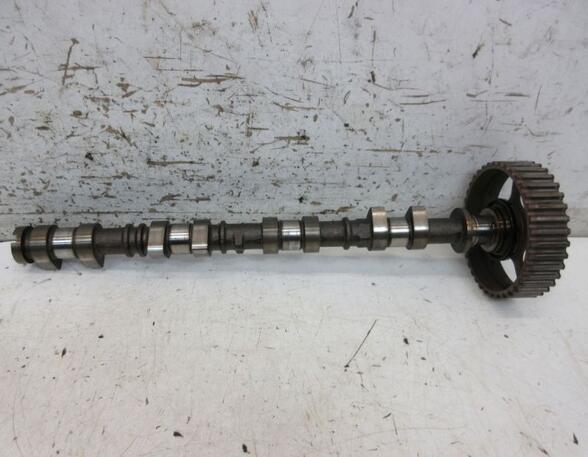 Camshaft FORD FIESTA VI (CB1, CCN)