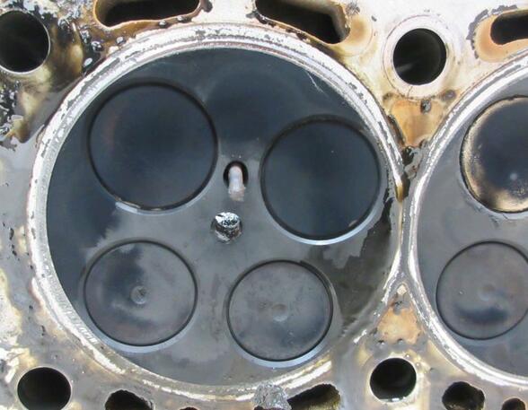 Cylinder Head AUDI A6 Avant (4F5, C6)