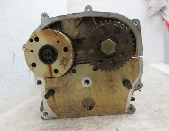 Cylinder Head VW GOLF V (1K1)