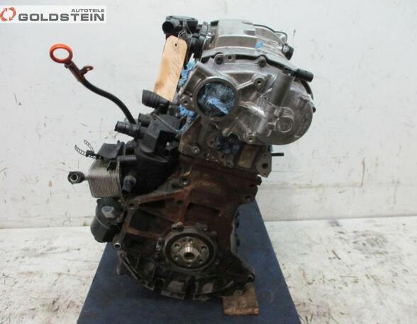 Cilinderblok AUDI A4 (8EC, B7)