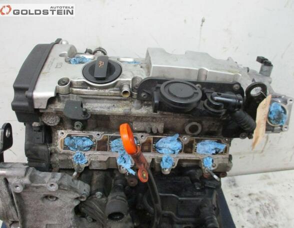 Cilinderblok AUDI A4 (8EC, B7)