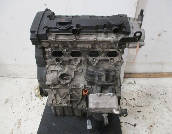 Cilinderblok VW EOS (1F7, 1F8)