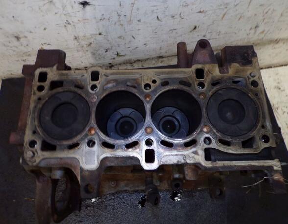 Engine Block FIAT DOBLO Cargo (263_)