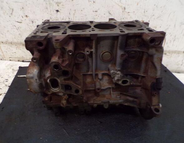 Engine Block FIAT DOBLO Cargo (263_)