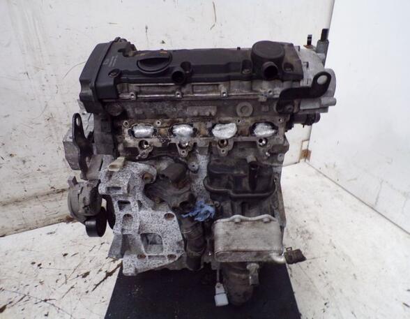 Cilinderblok VW EOS (1F7, 1F8)