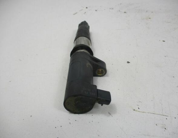 Ignition Coil RENAULT Clio III (BR0/1, CR0/1)