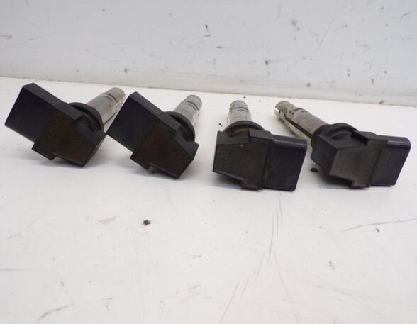 Ignition Coil VW PASSAT Variant (3C5)