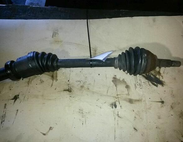 Drive Shaft FORD Focus (DAW, DBW)