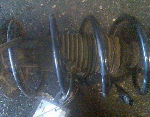 Coil Spring FIAT Panda (169)