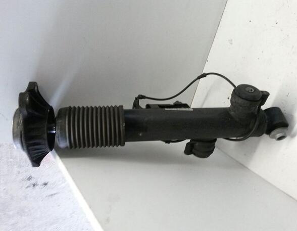 Shock Absorber BMW 5 Touring (F11)