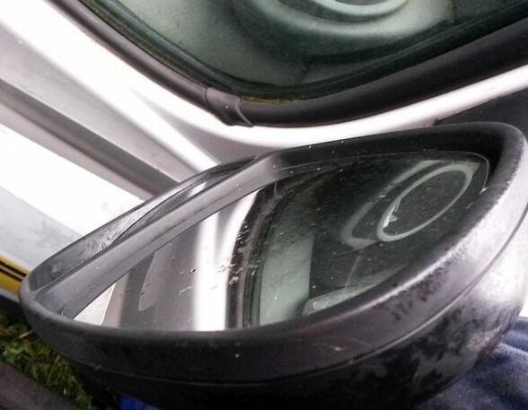 Wing (Door) Mirror RENAULT Trafic II Kasten (FL)