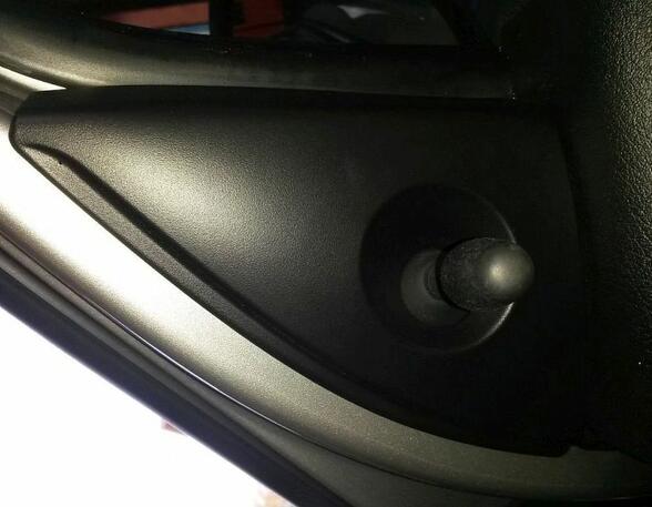 Wing (Door) Mirror LANCIA Ypsilon (843)