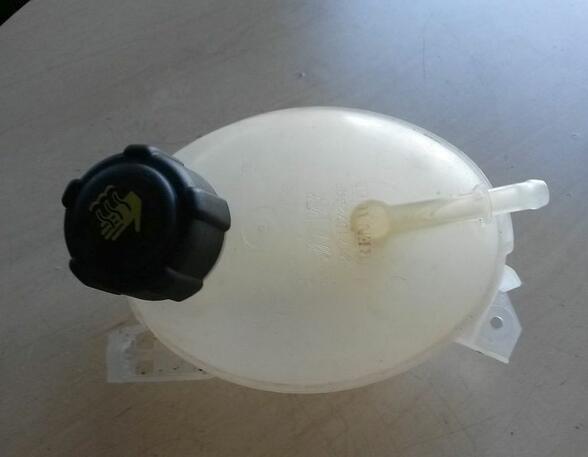 Coolant Expansion Tank RENAULT Clio IV Grandtour (KH)