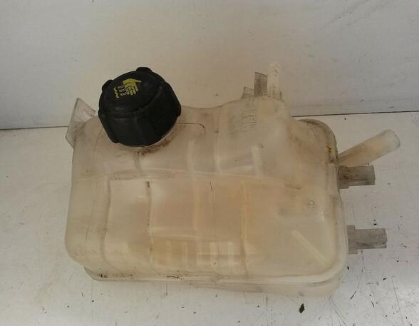 Coolant Expansion Tank RENAULT GRAND SCÉNIC III (JZ0/1_), RENAULT SCÉNIC III (JZ0/1_)