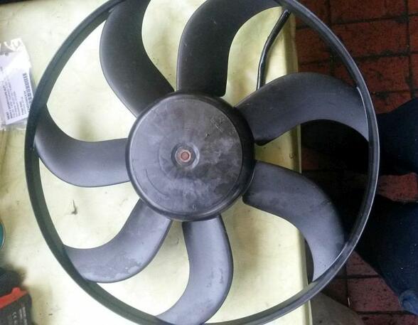 Radiator Electric Fan  Motor SEAT Ibiza IV (6J5, 6P1), SEAT Ibiza IV Sportcoupe (6J1, 6P5)