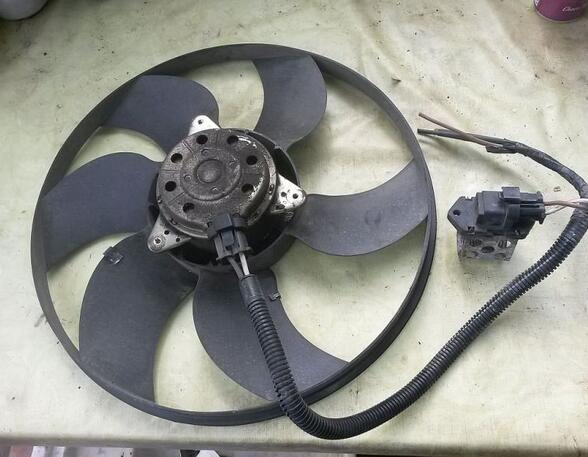 Radiator Electric Fan  Motor RENAULT Megane II (BM0/1, CM0/1)