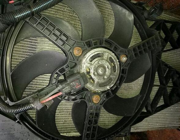 Elektrische motor radiateurventilator FIAT Grande Punto (199), FIAT Punto Evo (199)