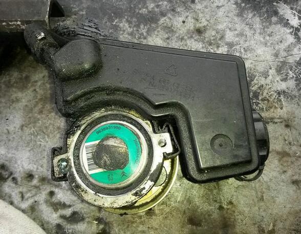 Power steering pump PEUGEOT 206 Schrägheck (2A/C)