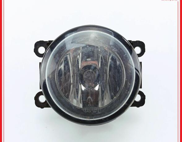 Mistlamp RENAULT Megane II (BM0/1, CM0/1)