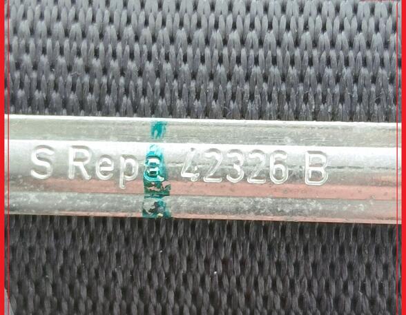 Safety Belts MERCEDES-BENZ S-Klasse (W221)