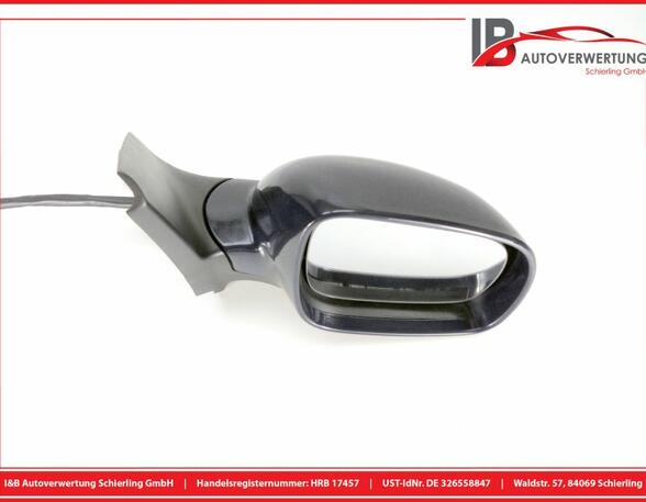 Wing (Door) Mirror VW Golf IV (1J1)