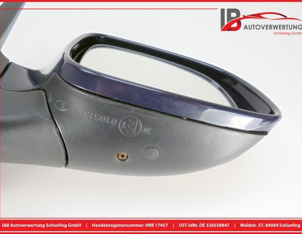 Wing (Door) Mirror VW Golf IV (1J1)